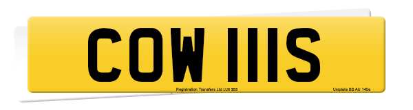 Registration number COW 111S
